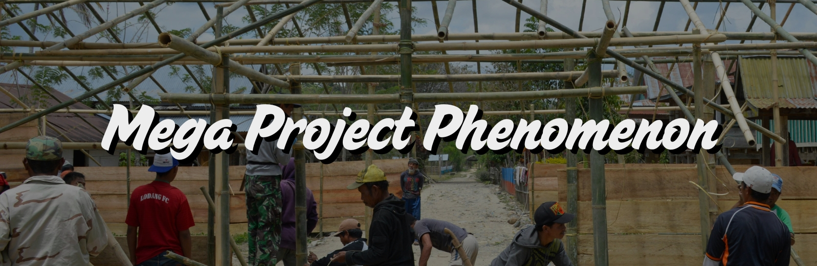 Crane hire for mega project