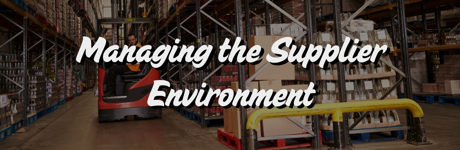 Saudi Arabia's Top Crane Suppliers